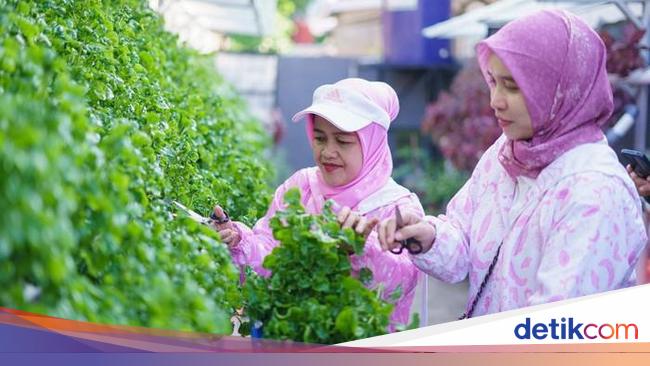 Awalnya TPS Liar, Kini Jadi Tempat Urban Farming Berkat Peran Ibu-ibu