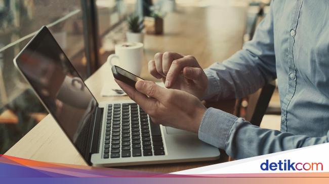 Cara Mengatasi NIK Dipakai Orang Lain atau Tak Ditemukan Saat Daftar CPNS