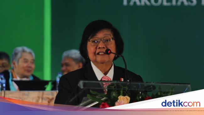 95% Hutan di Suaka Margasatwa Rawa Singkil Tetap Utuh