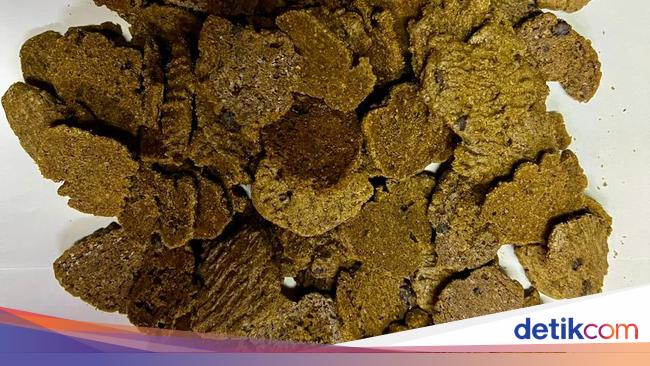 Dibongkar Polisi, Ini Penampakan ‘Kue’ Ganja Produksi di Purwakarta