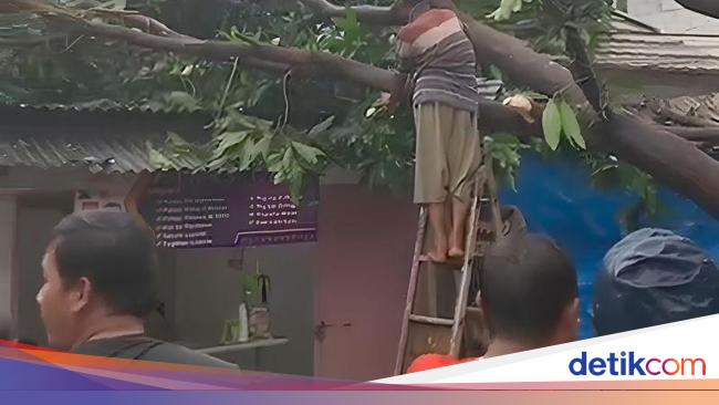 6 Rumah di Ciputat Tangsel Rusak Tertimpa Pohon Tumbang