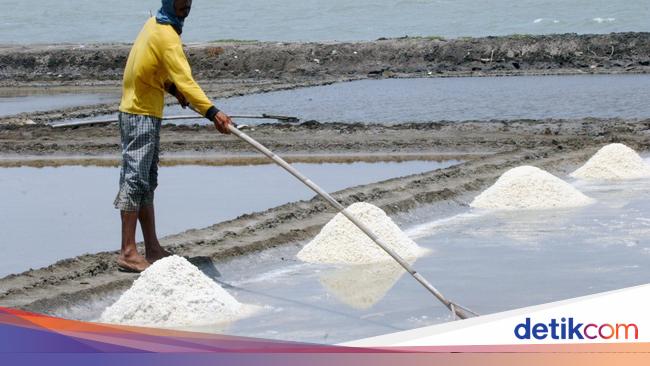 KKP Optimistis RI Swasembada Garam Tahun Depan, Begini Caranya