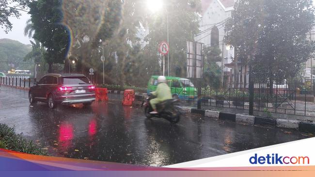 Hujan Disertai Angin Kencang di Kota Bogor, Pohon Tumbang di Beberapa Titik