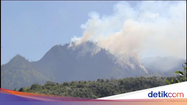 Hutan Kawasan Bromo di Lumajang Kebakaran