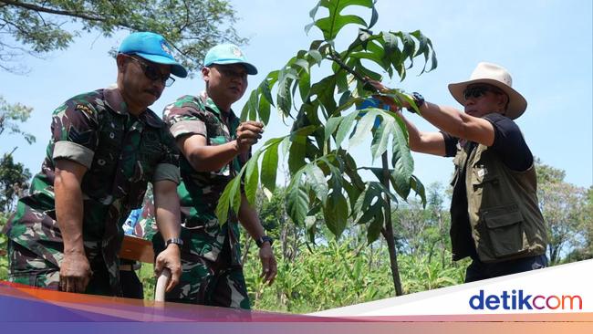 Panglima TNI Bagikan Sembako ke Warga dan Tanam Pohon di PMPP Sentul