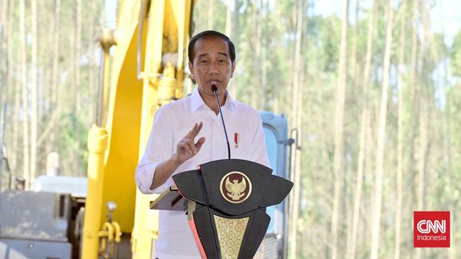 Jokowi dijadwalkan melakukan groundbreaking dua investasi asing di IKN, yakni dari China dan Australia, pada 19-20 September 2024.