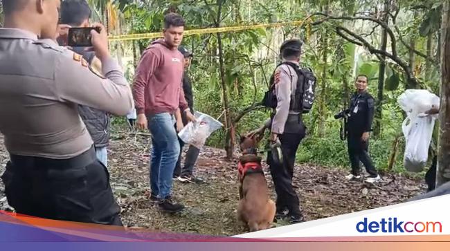 6 Fakta Baru Pembunuhan Gadis Penjual Gorengan hingga Tersangka Ditetapkan