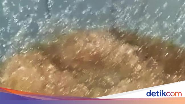 Geger Hujan Jelly di Gorontalo, BMKG Buka Suara