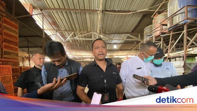 Waspada! Ayam Gelonggong di Jaksel Ternyata Disuntik Air yang Tercemar