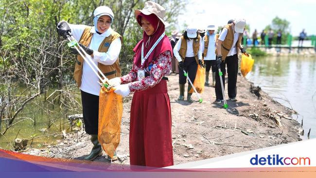 Aktif Berkegiatan Sosial, Istri Mensos Ikut Aksi Bersih Mangrove