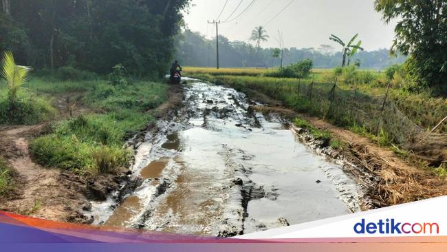 PUPR Banten Hitung Biaya Perbaikan Jalan Rusak yang Bikin Guru Jatuh