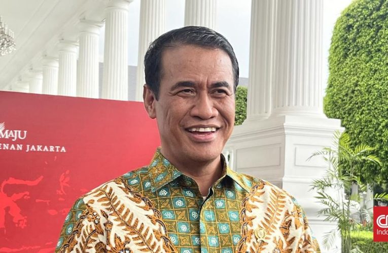 Mentan Klarifikasi Ditegur Wapres soal Mafia Pangan