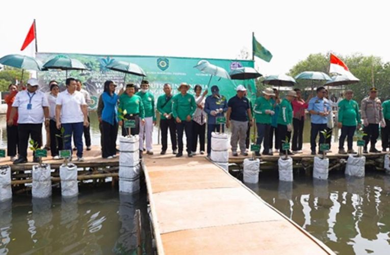 Warga Bersama Agung Sedayu Group Tanam 7.000 Mangrove di Tangerang