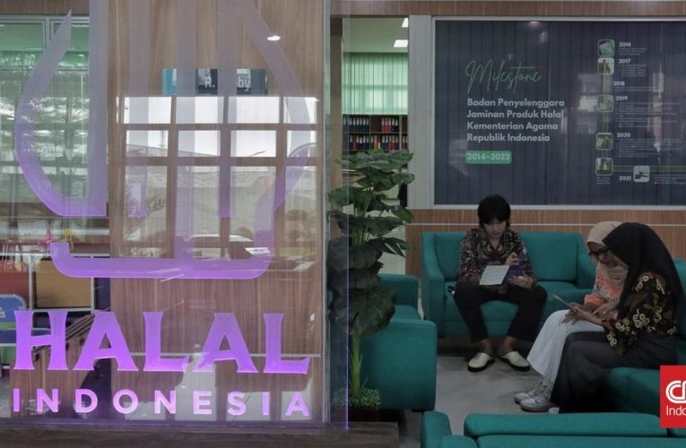 Halal Festival 2025 bakal Jadi Peluang UMKM Tembus Pasar Internasional