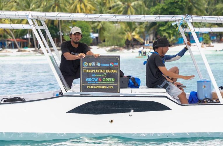 BRI Menanam Grow & Green Jaga Ekosistem Laut di Pulau Kapoposang