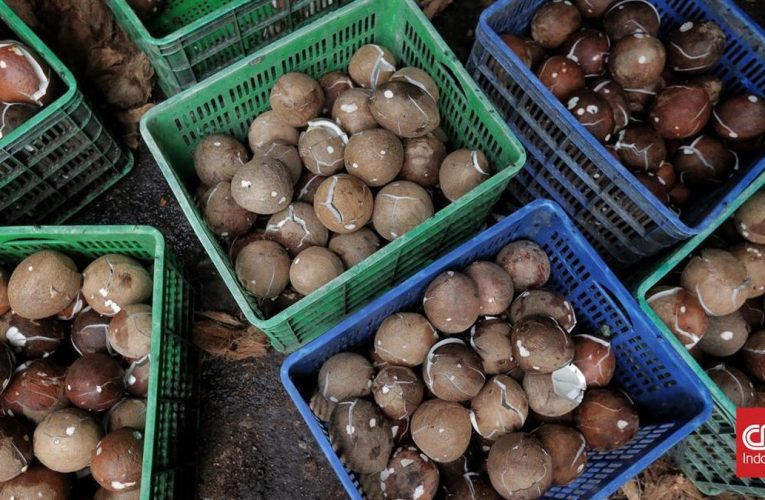 Mendag Usul Pungutan Ekspor Kelapa Bulat Atasi Lonjakan Harga