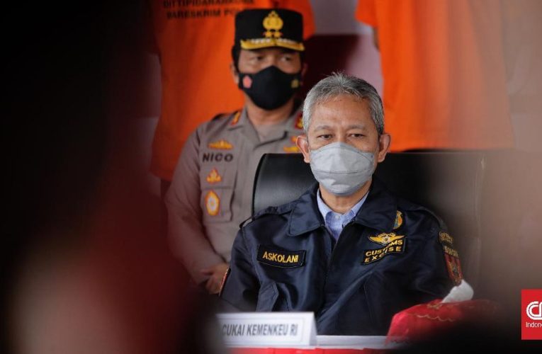 Bea Cukai Kesulitan Tangkal Barang Ilegal di Youtube Dkk: Sulit Detect