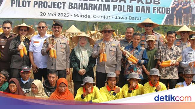 Hasil 11,6 Ton Per Ha