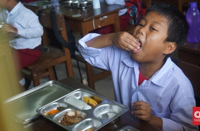 Jalan 4 Bulan, Penyaluran Makan Bergizi Gratis Belum Libatkan BPOM