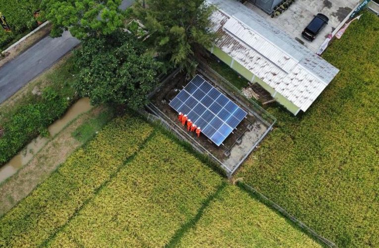Program DEB Pertamina Dorong Produksi Pangan di Desa Mernek