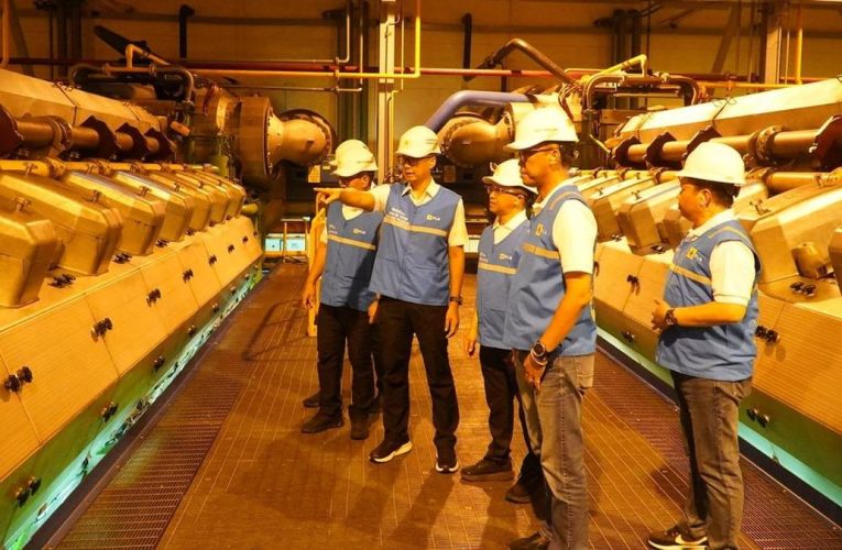Gubernur Bali Apresiasi Respons Cepat PLN Pulihkan Listrik Bali