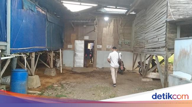 Ibu-Anak Ngungsi ke Kandang Ayam Pekalongan Usai Diperkosa-Diancam Pelaku