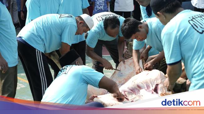 Lapas Cipinang Terima 10 Sapi-14 Kambing, Dirjenpas: Warga Binaan Nikmati Kurban