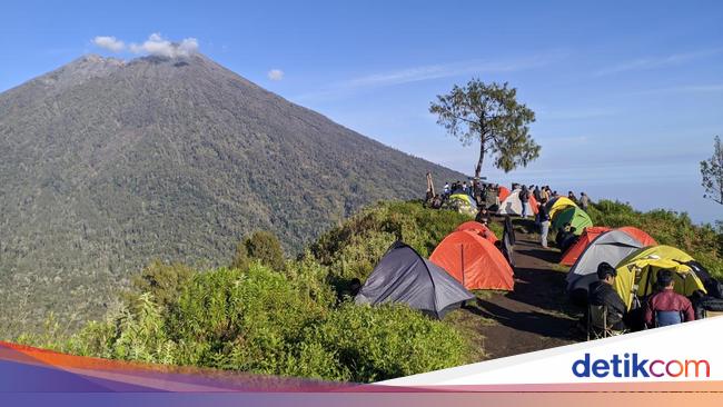 Viral Pendaki Diusir Saat Berkemah di Gunung Rinjani, TNGR Siapkan Sanksi