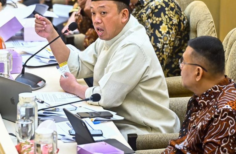 Blak-blakan Menteri ATR soal Sikat 2 Juta Ha Lahan Sawit Gelap